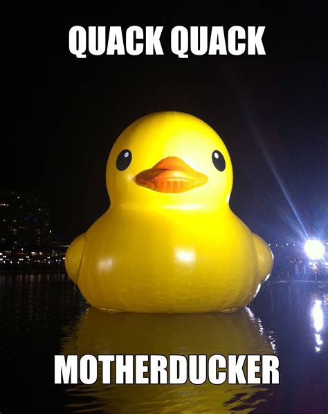 rubber duck meme